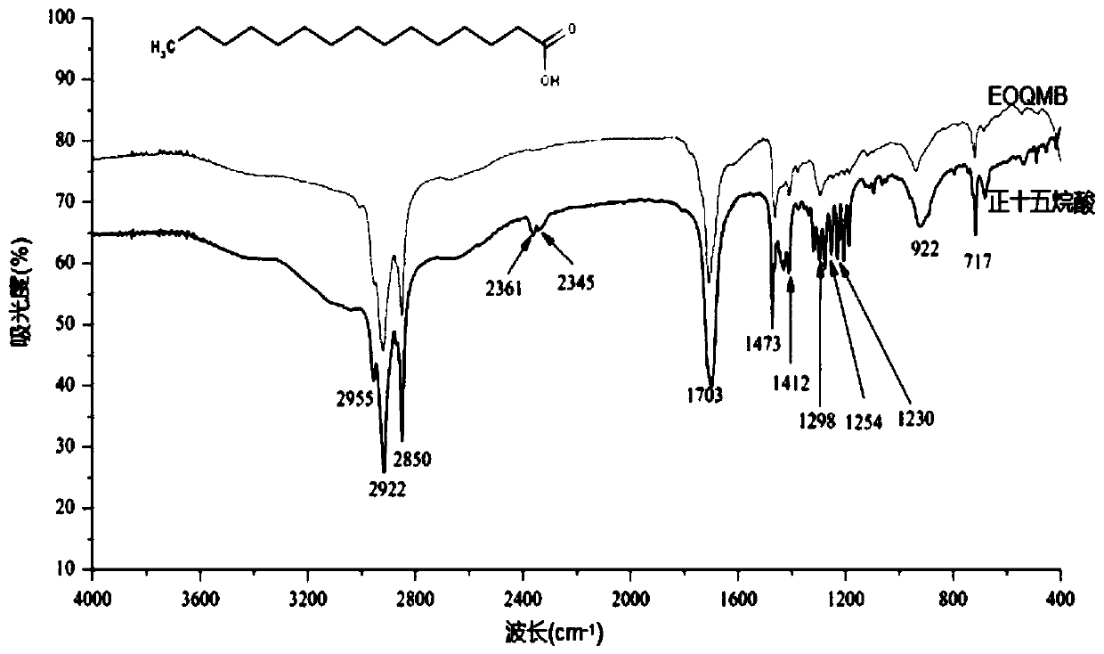 Extraction method of oak bark volatile oil as well as detection method and application of oak bark volatile oil