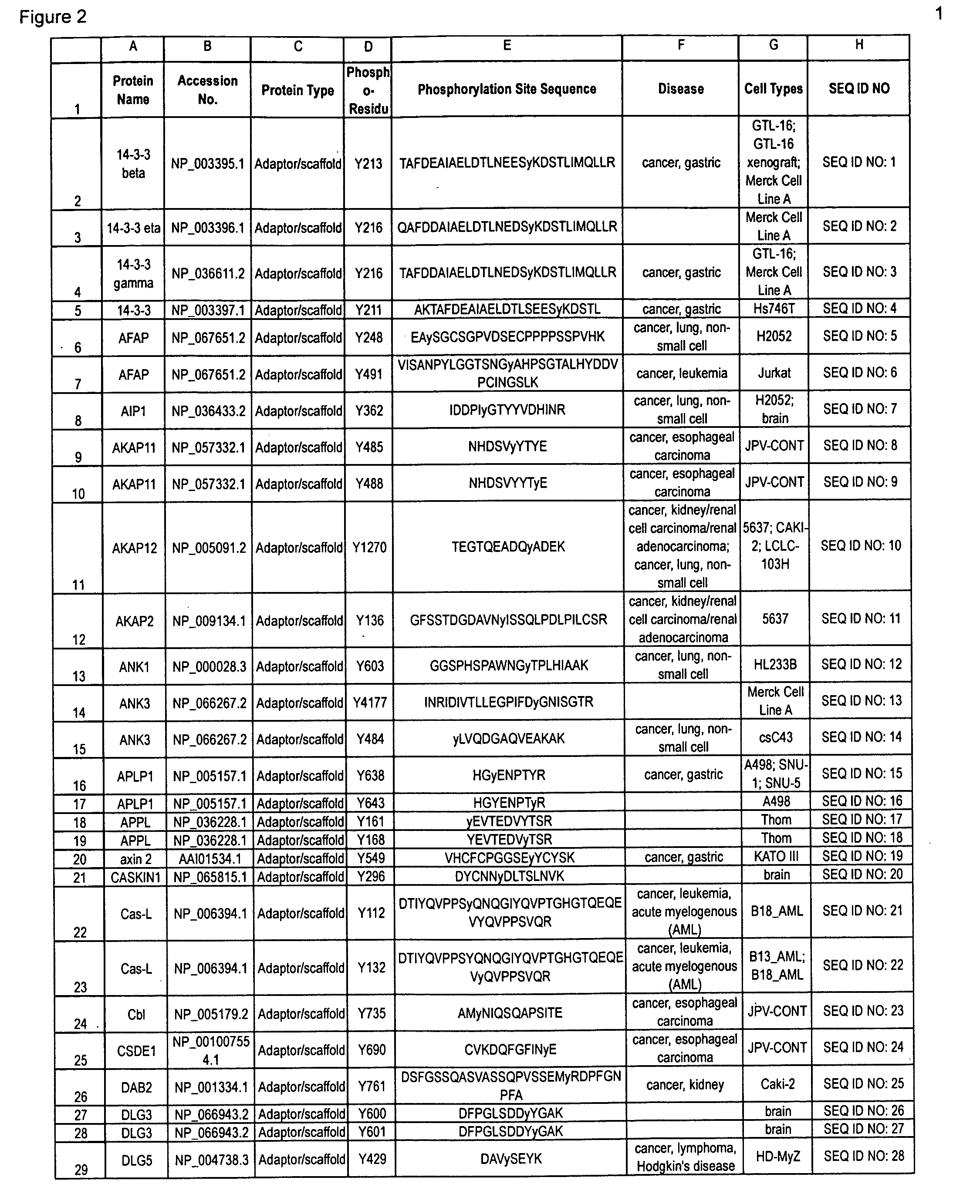 Tyrosine phosphorylation sites