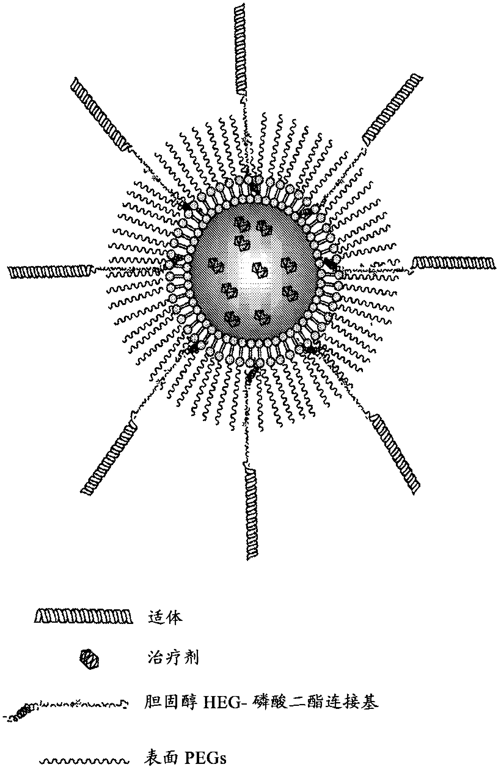 Aptamer conjugates for targeting of therapeutic and/or diagnostic nanocarriers