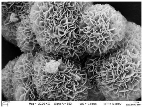 Preparation method and application of Z-type photocatalyst MgAl LDH/CN-H