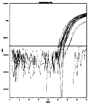 Marker set and composition for comprehensively screening genetically modified ingredients and application