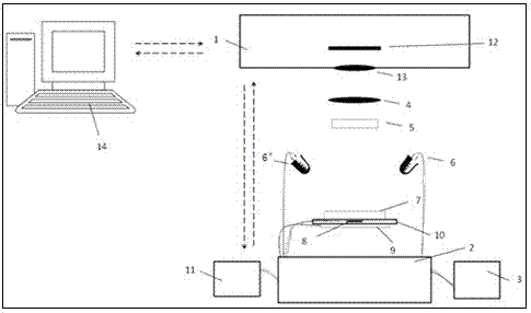 Handheld general microfluidic chip real-time detection device and application