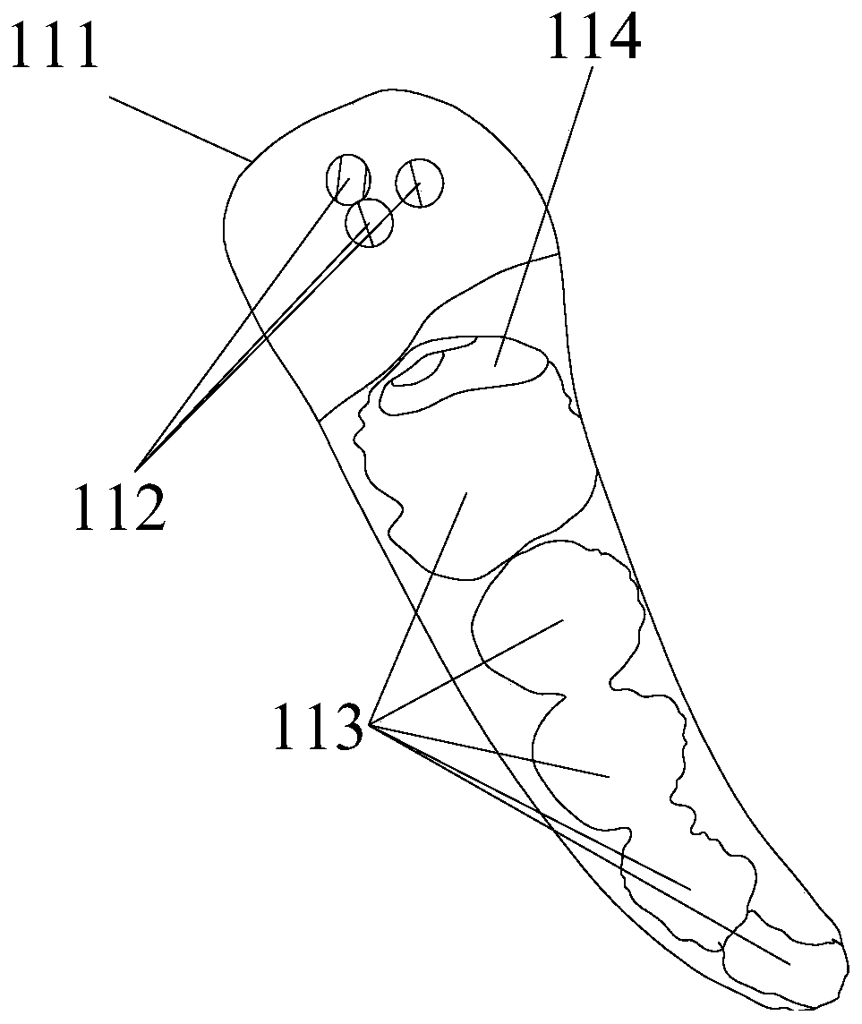 Operation guide plate for preparing dental socket for autologous tooth transplantation and manufacturing method and application thereof