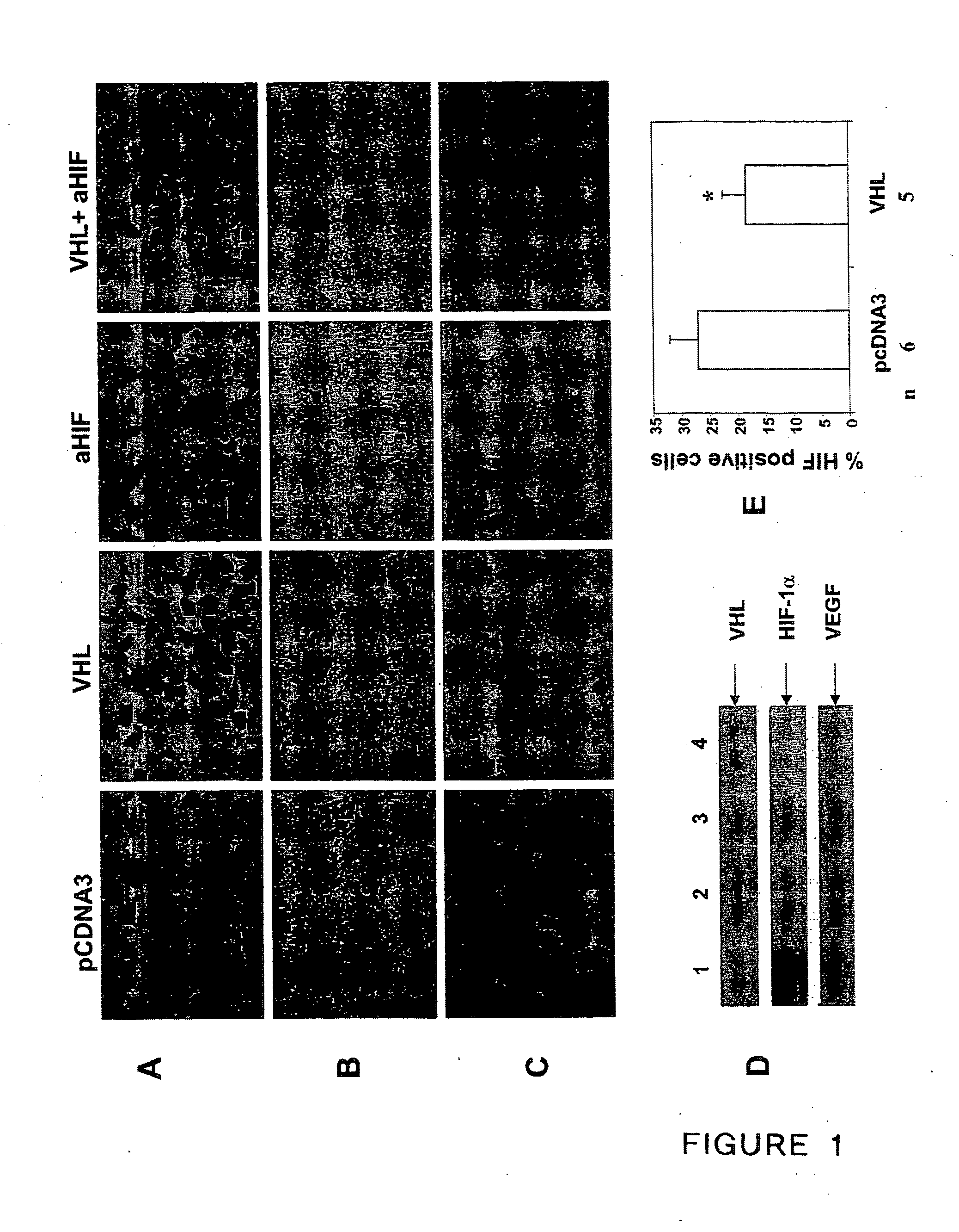 Tumor treating combinations, compositions and methods