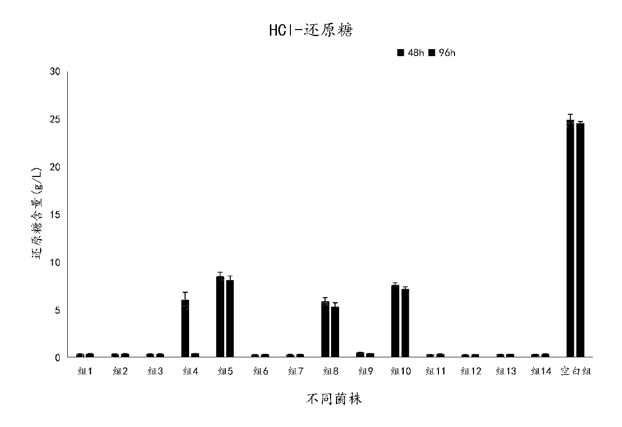 Galactomyces candidum and method for treating high-ammonia-nitrogen biogas slurry by using galactomyces candidum to produce single cell protein