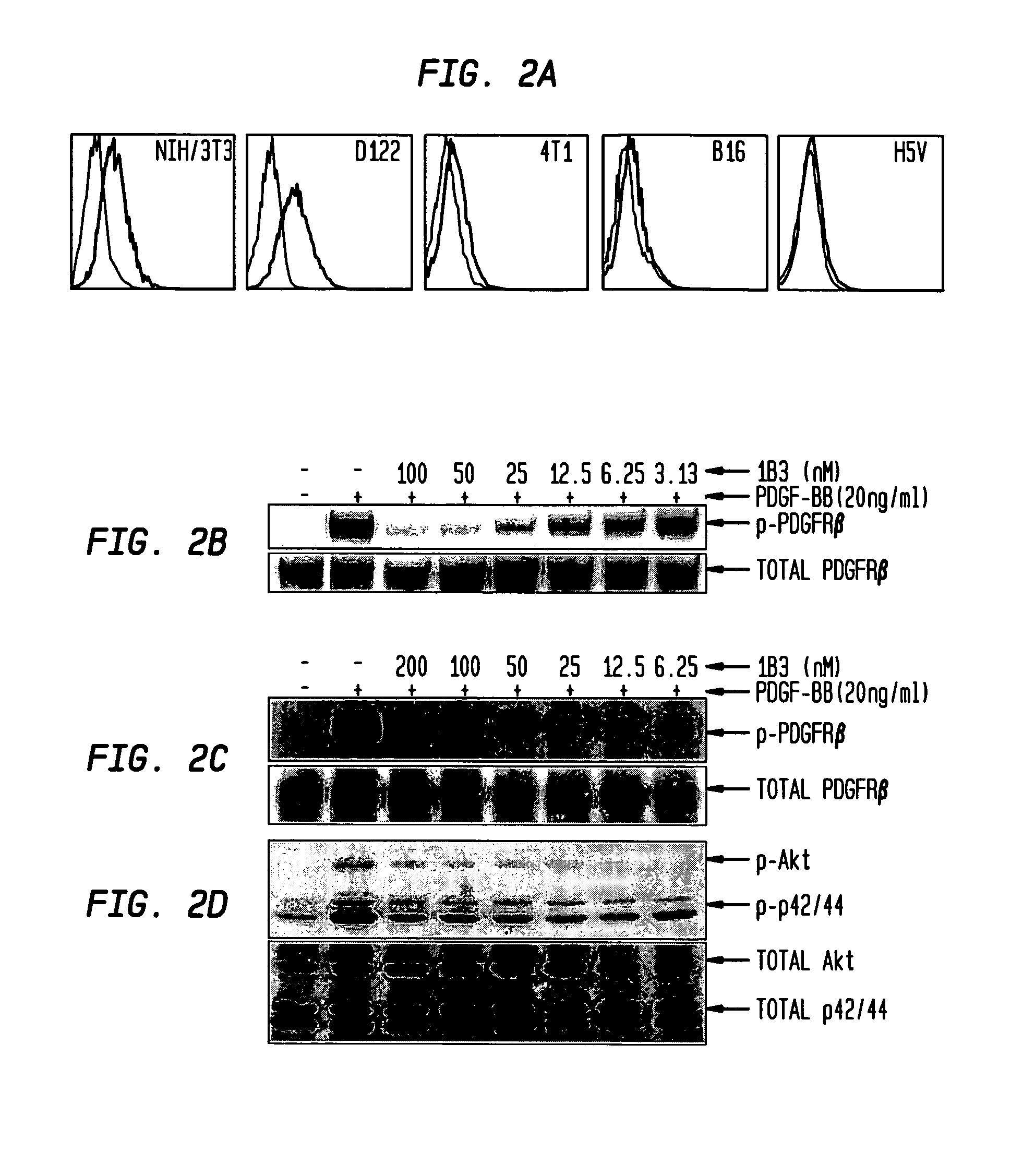 PDGFRβ-specific antibodies