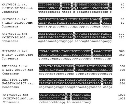 A kind of largemouth bass iridovirus inactivated vaccine for injection and preparation method thereof