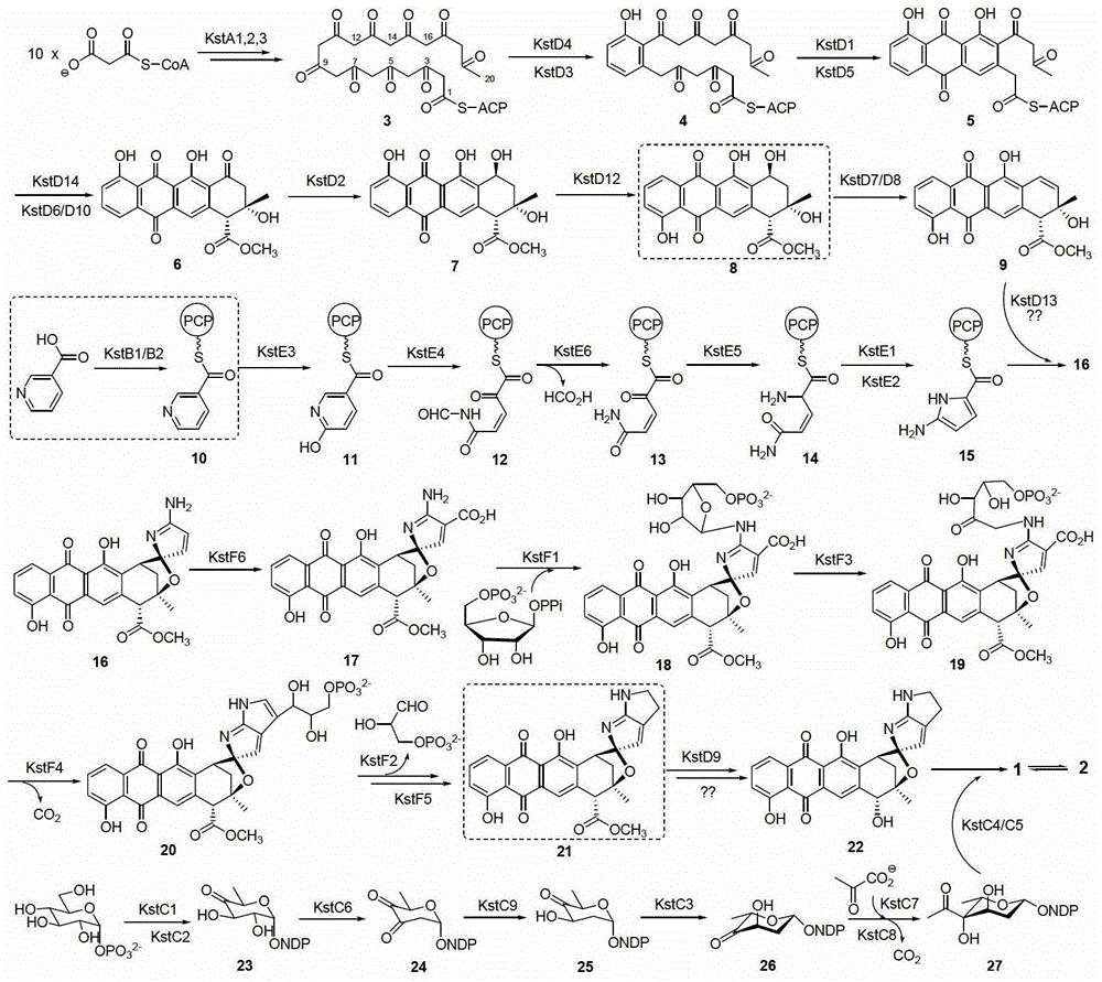 Biosynthetic gene clusters of off-road statins and their applications