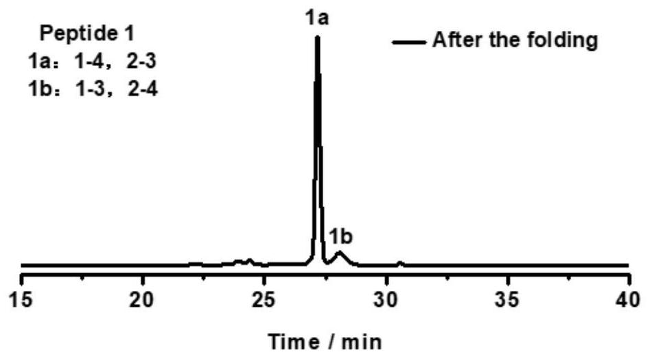 Method for constructing phage display multivariate cyclic peptide library based on disulfide bond precise pairing