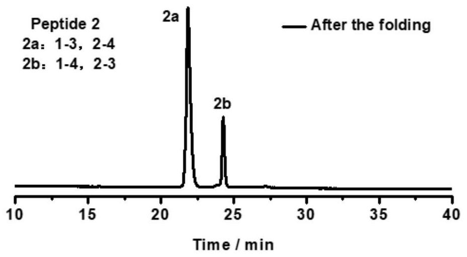 Method for constructing phage display multivariate cyclic peptide library based on disulfide bond precise pairing