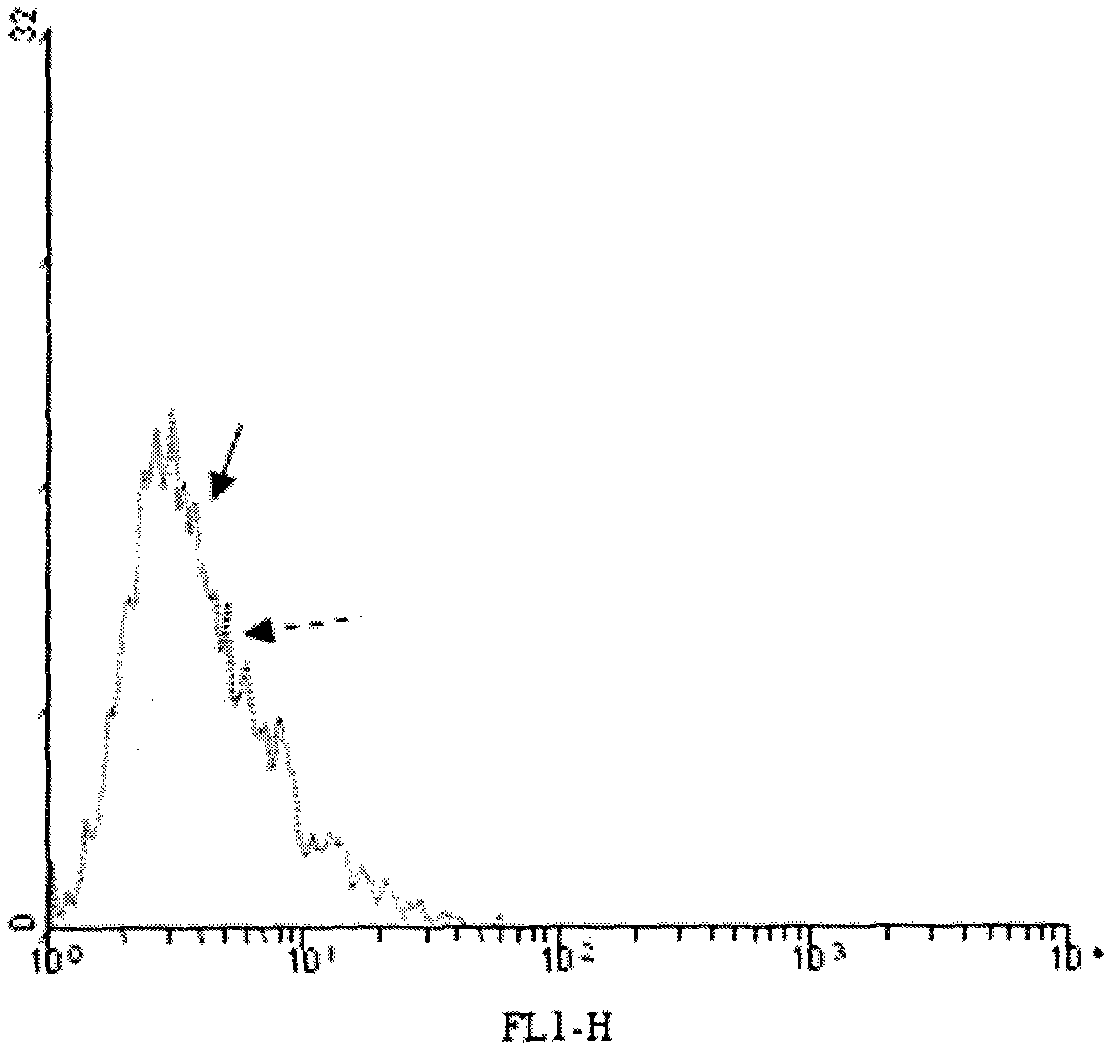 A method to synthesize α-galactoside epitopes on the surface of tumor cells and activate immune cells