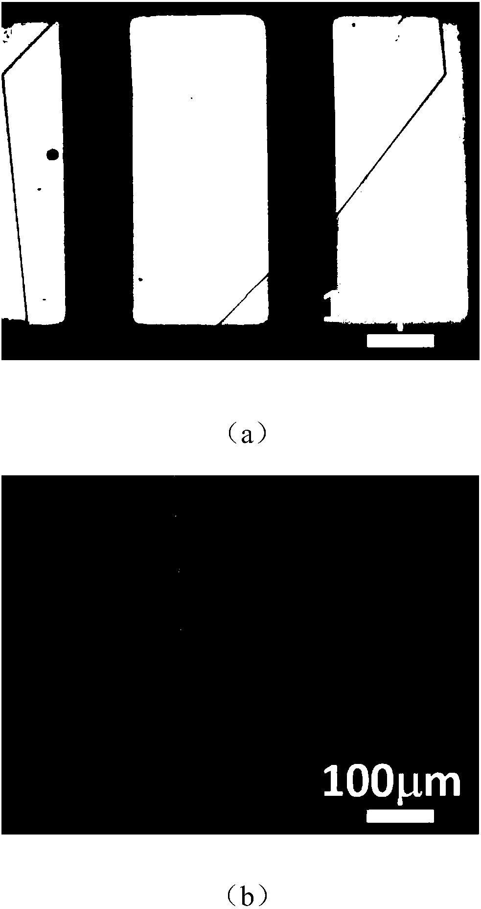 Organic single crystal spin valve and preparation method and application thereof