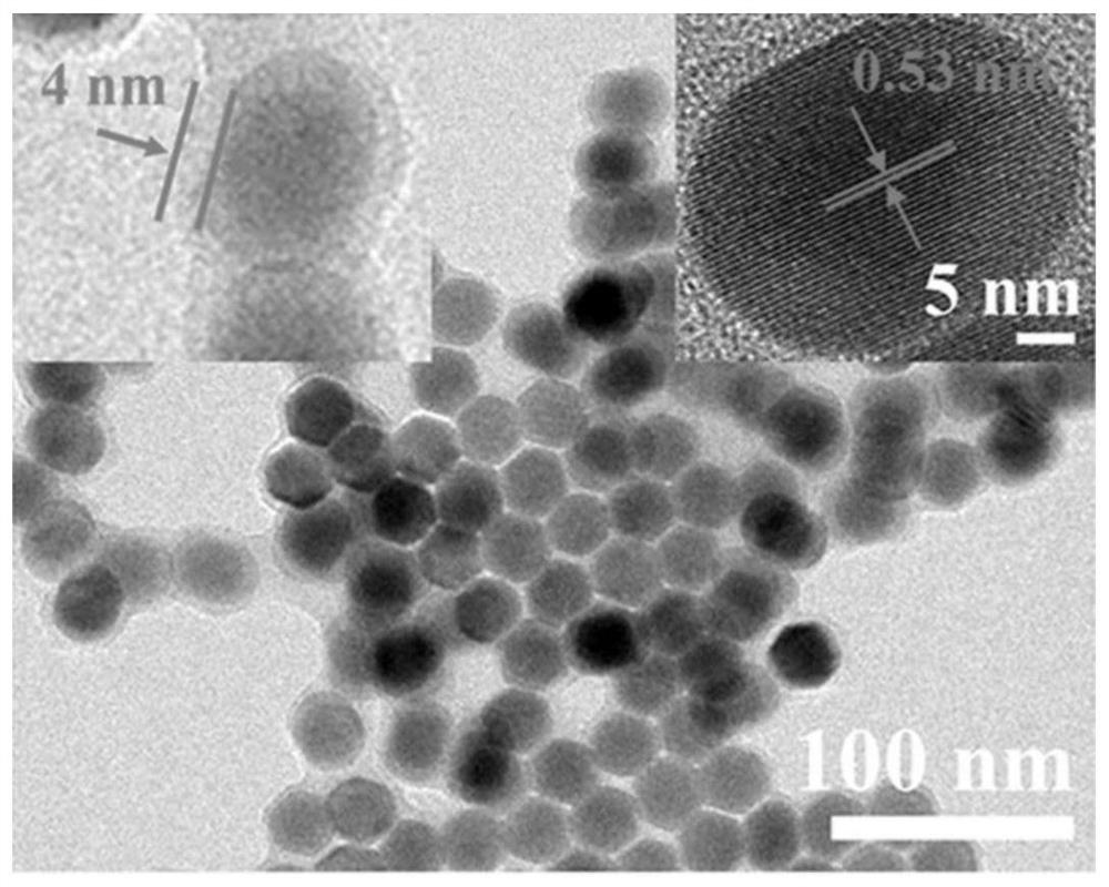 A fluorescent hydrogel and its application in the detection of carbaryl