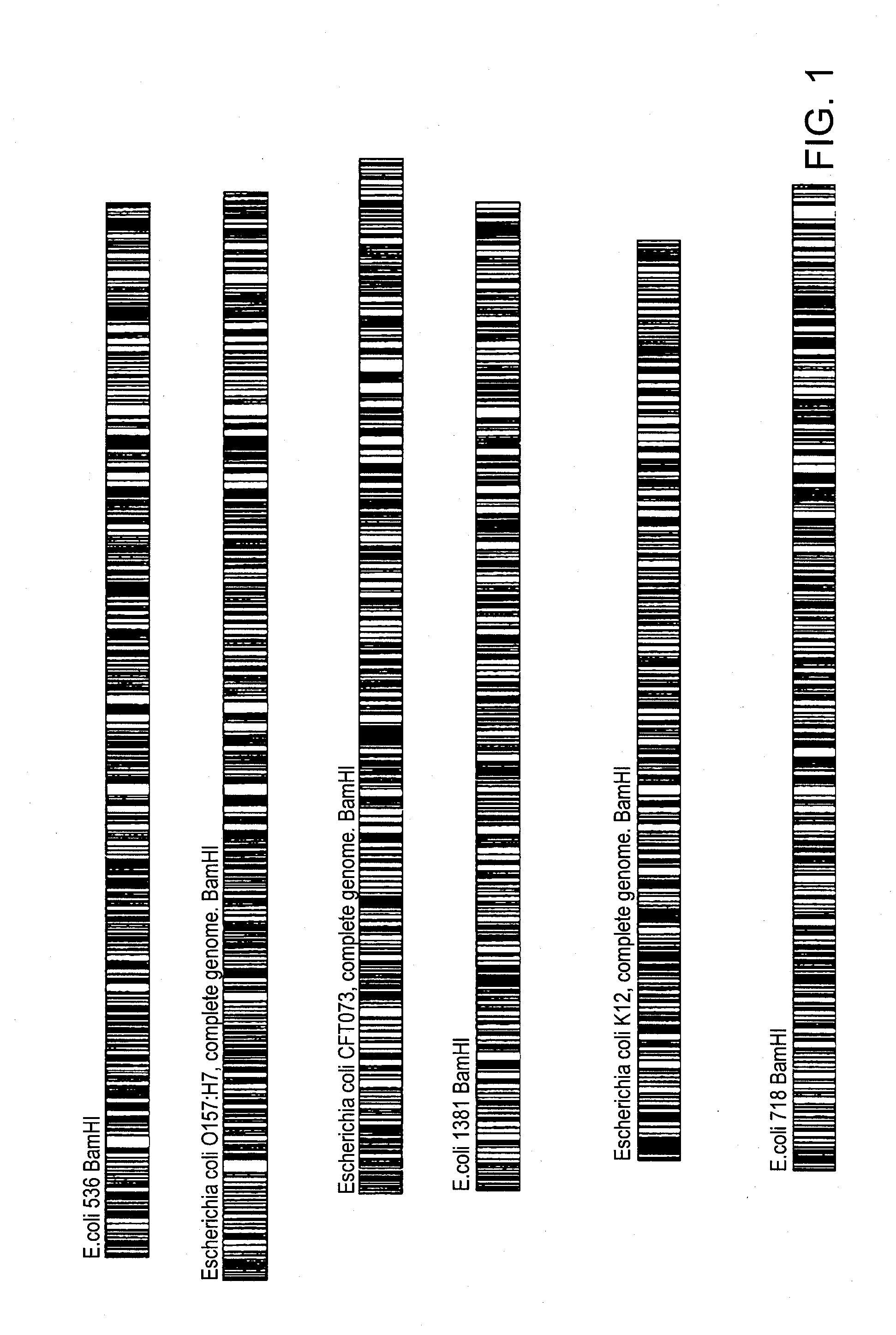 Methods of determining antibiotic resistance