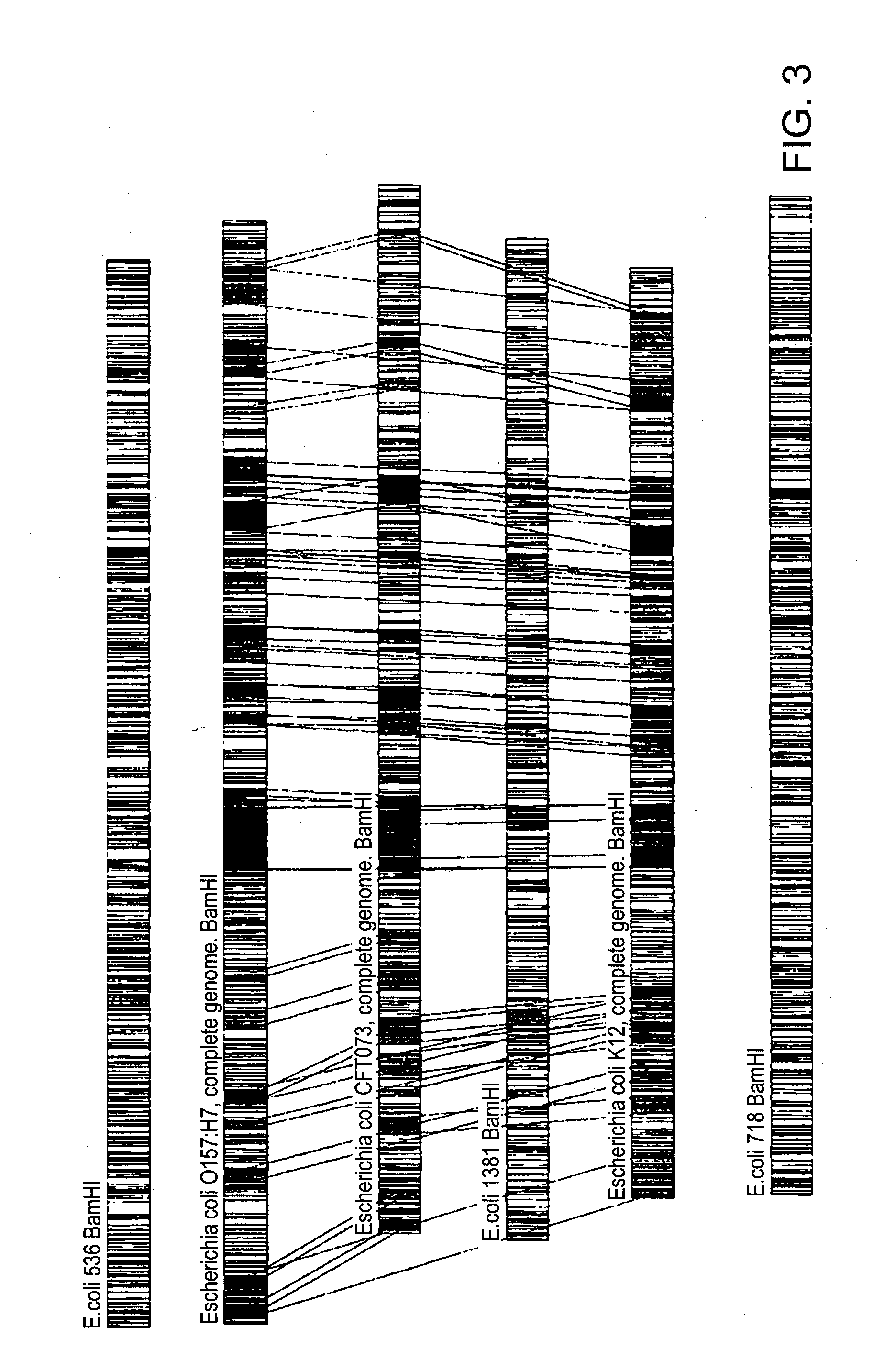 Methods of determining antibiotic resistance