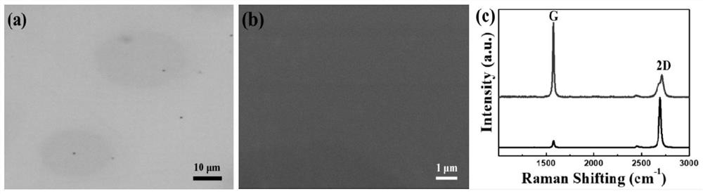 Method for preparing wrinkle-free graphene film