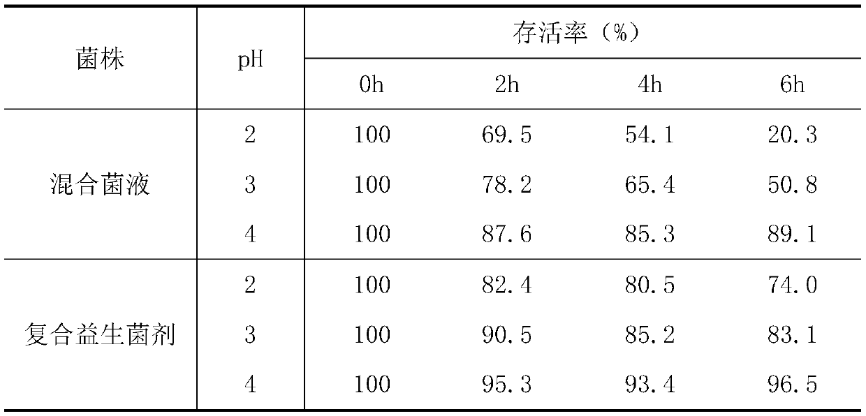 A compound probiotic agent for improving intestinal function of chicks and preparation method thereof