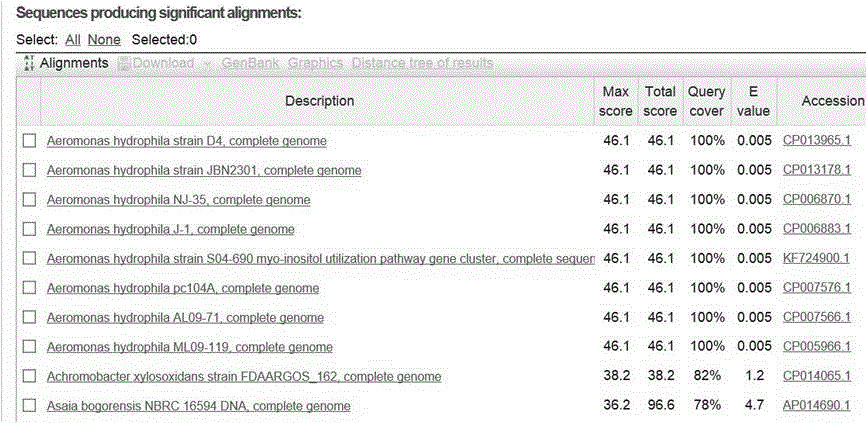 Kit for detecting ST251-type virulent aeromonas hydrophila and application