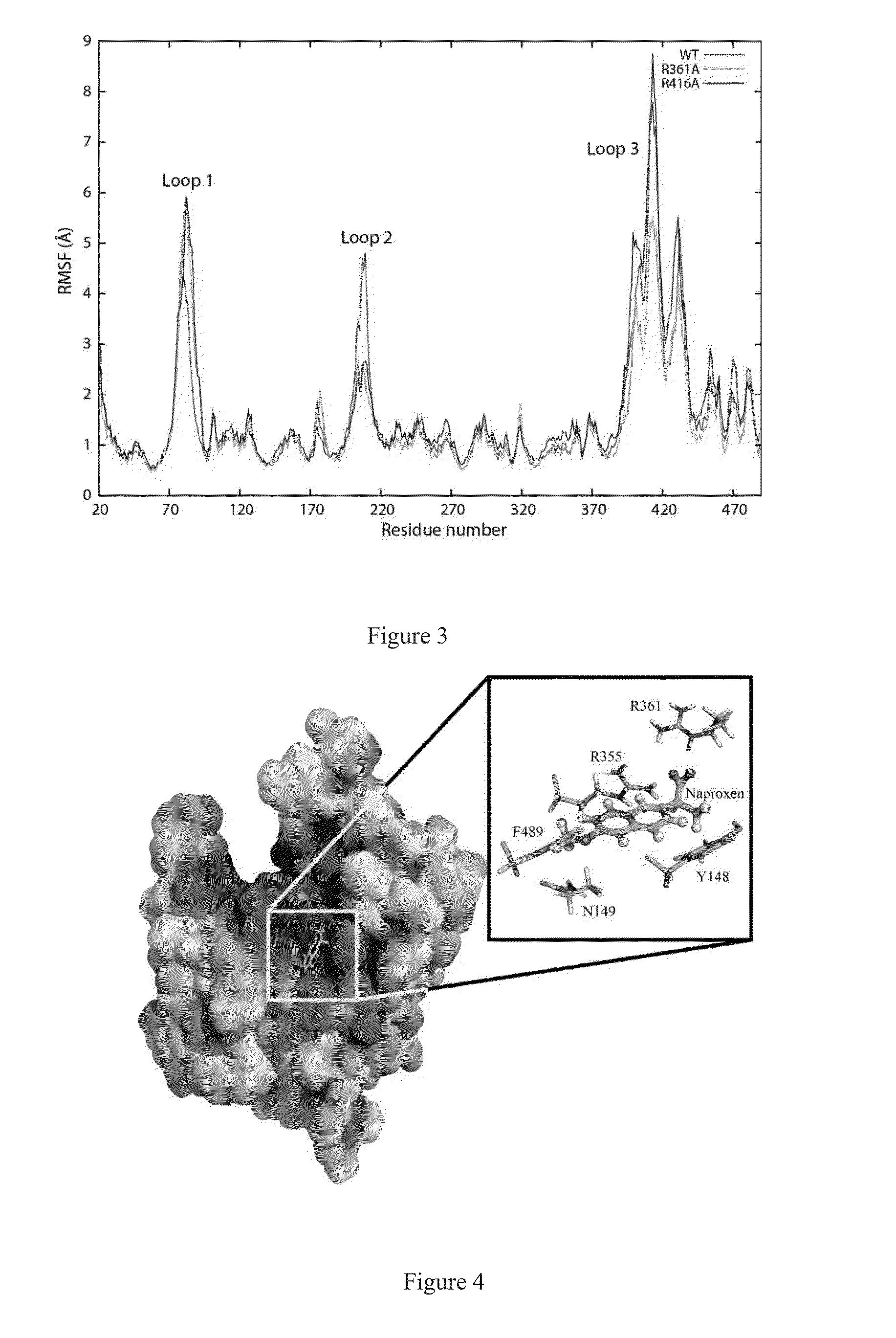 Antiviral compositions directed against the influenza virus nucleoprotein