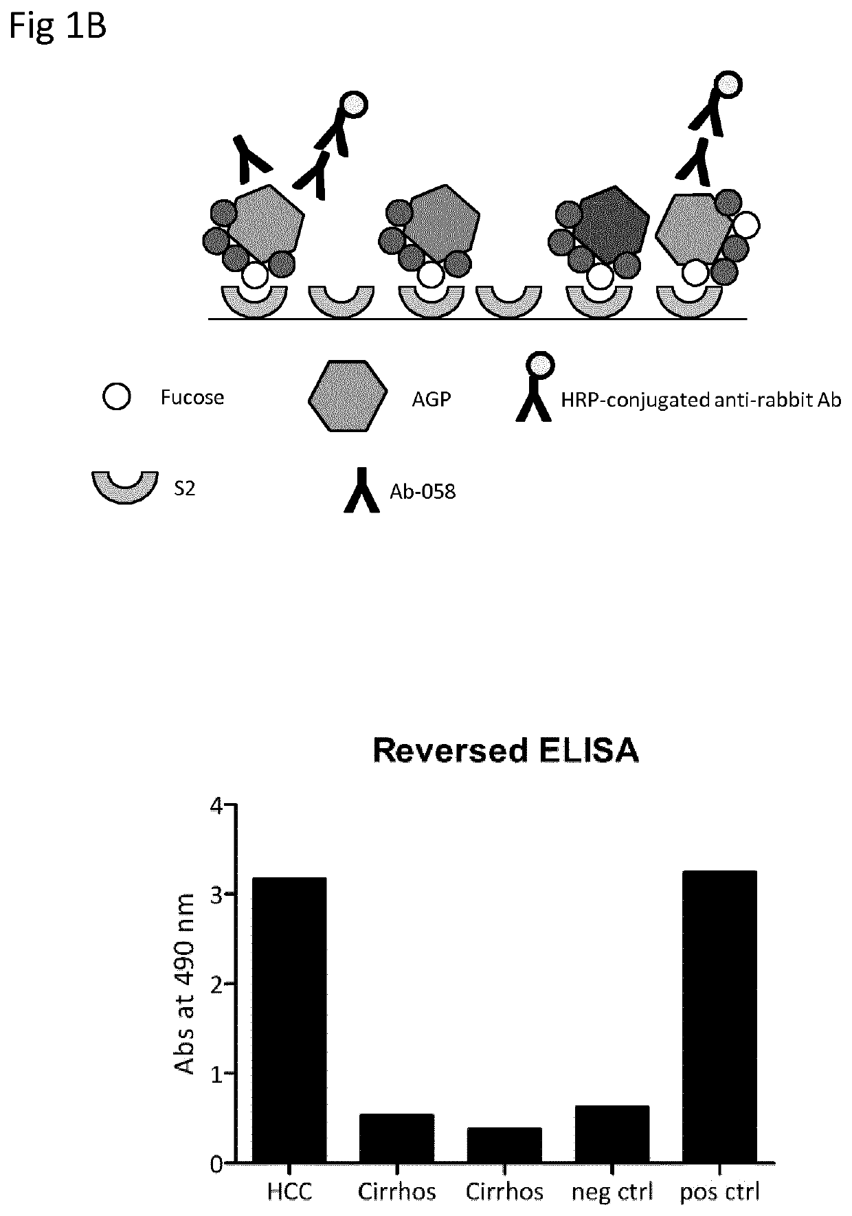 Diagnostic test for hepatocellular carcinoma