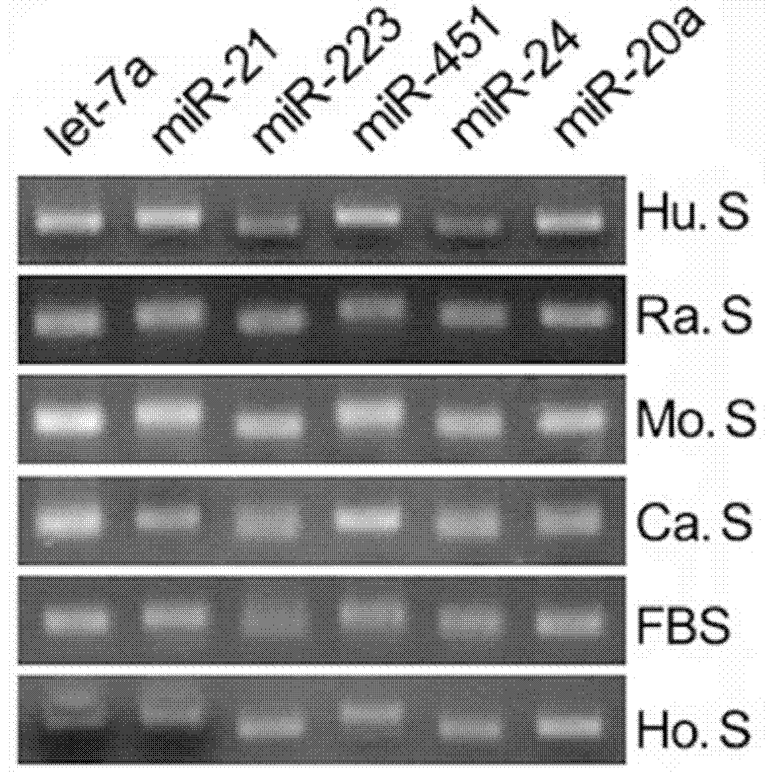 Gastric cancer detection marker and detecting method thereof, kit and biochip