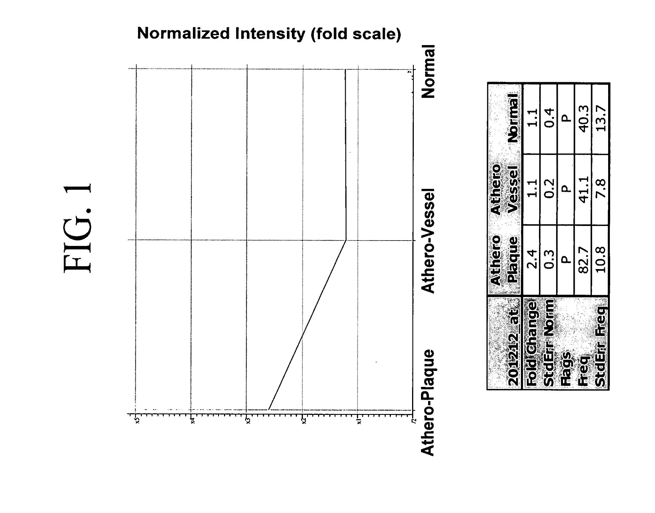 Expression of the cysteine protease legumain in vascular and inflammatory diseases