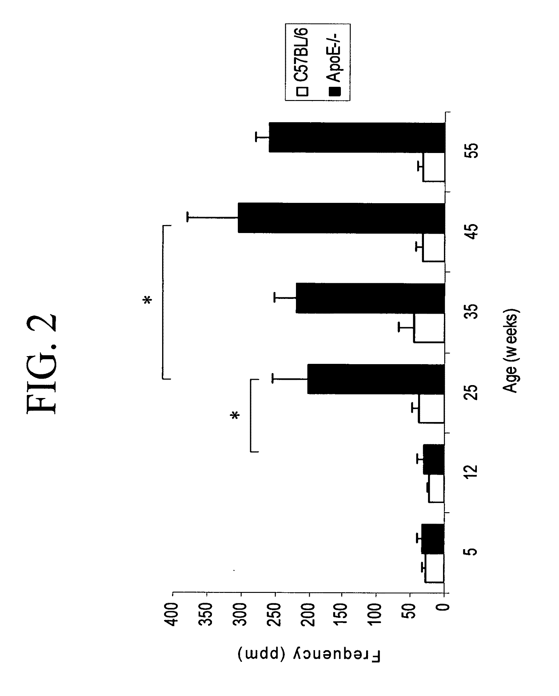 Expression of the cysteine protease legumain in vascular and inflammatory diseases