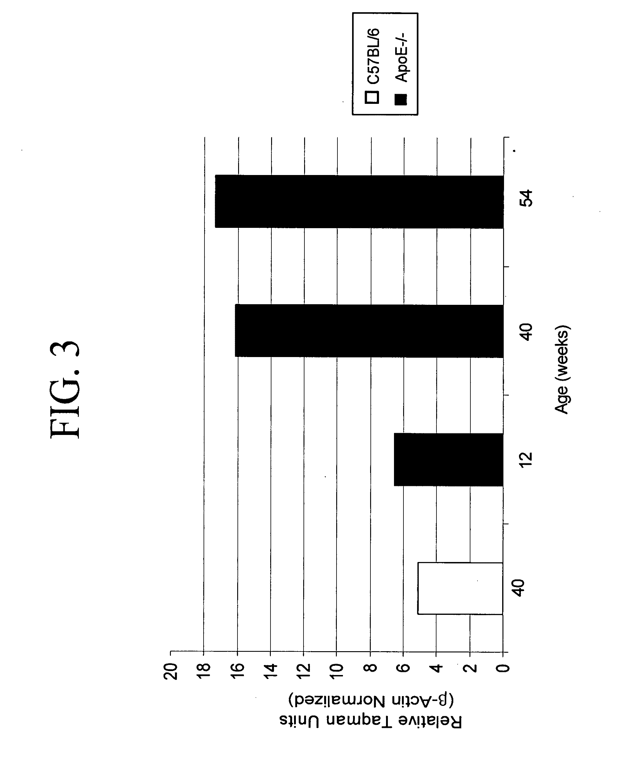 Expression of the cysteine protease legumain in vascular and inflammatory diseases