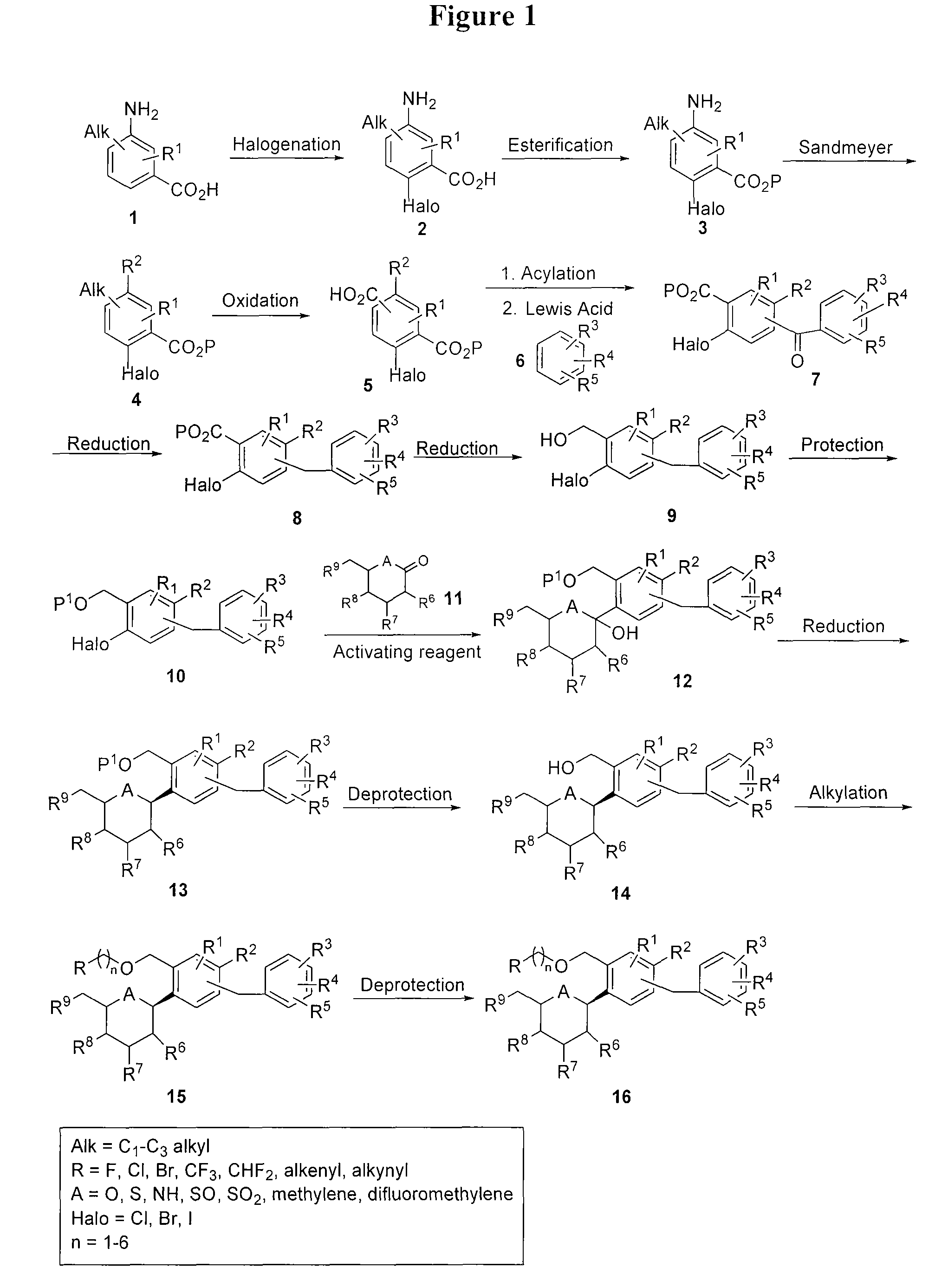 Benzylic glycoside derivatives and methods of use