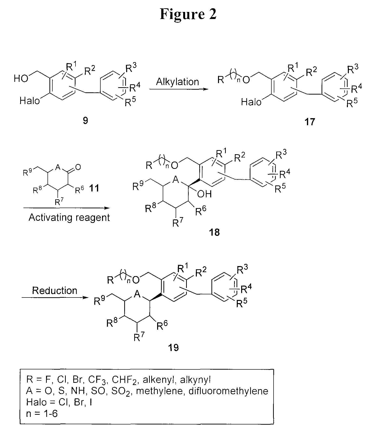 Benzylic glycoside derivatives and methods of use