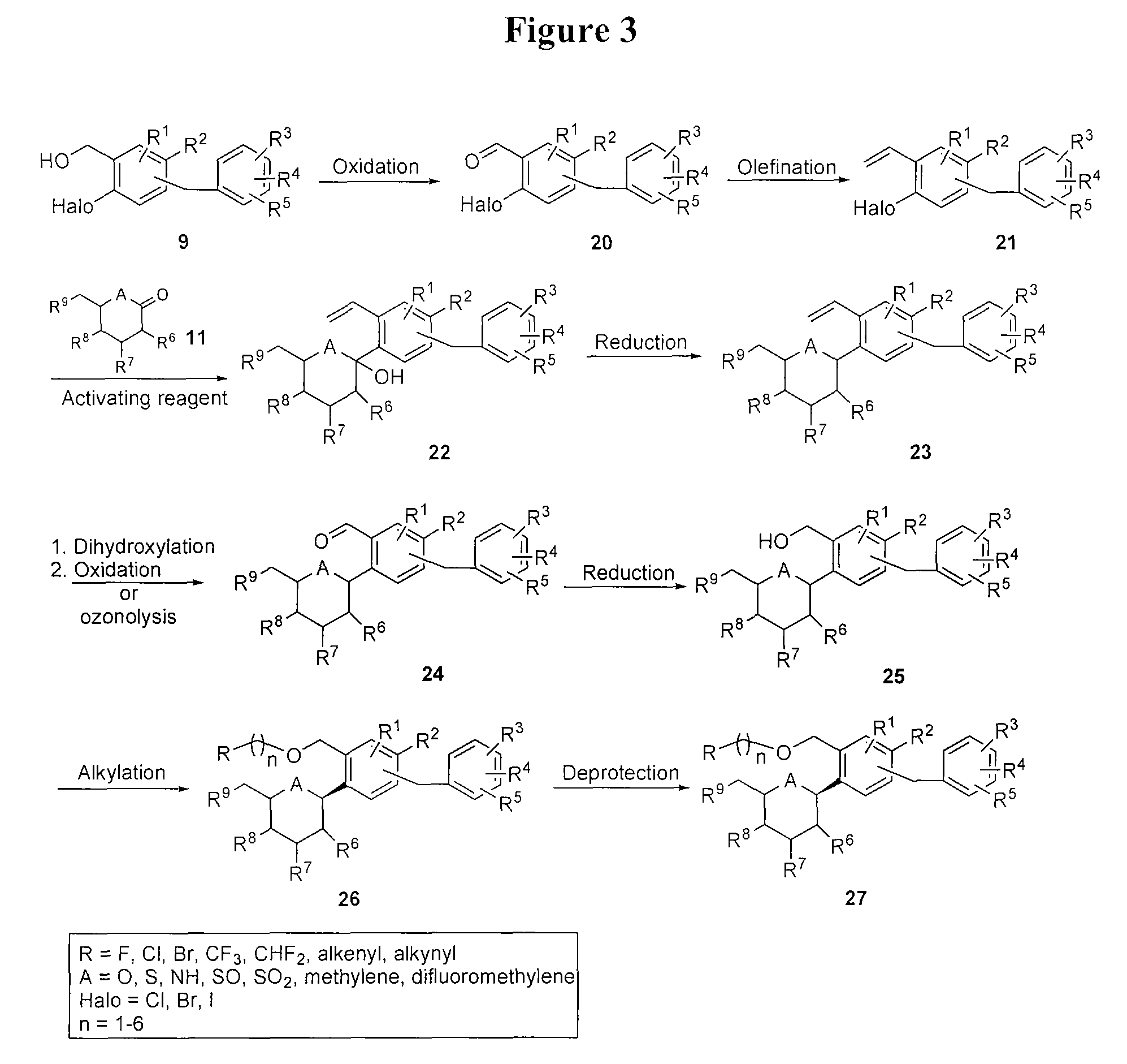 Benzylic glycoside derivatives and methods of use