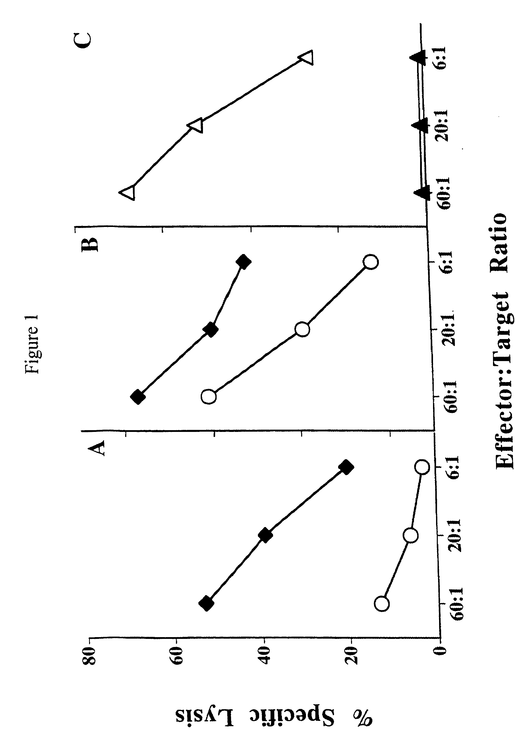 Therapeutic applications of antigens or epitopes associated with impaired cellular peptide processing, e.g. expressed on rma-s cells transfected with a b7-1 gene