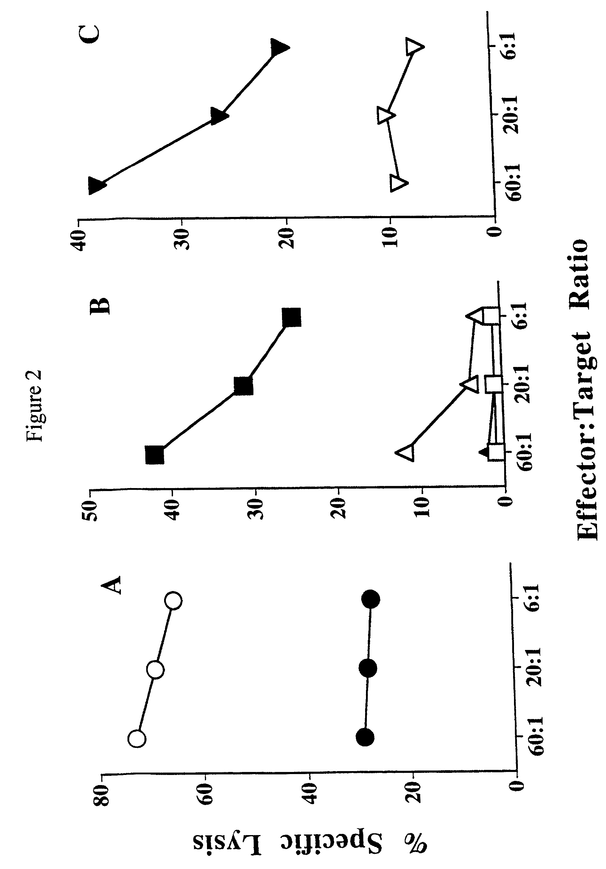 Therapeutic applications of antigens or epitopes associated with impaired cellular peptide processing, e.g. expressed on rma-s cells transfected with a b7-1 gene