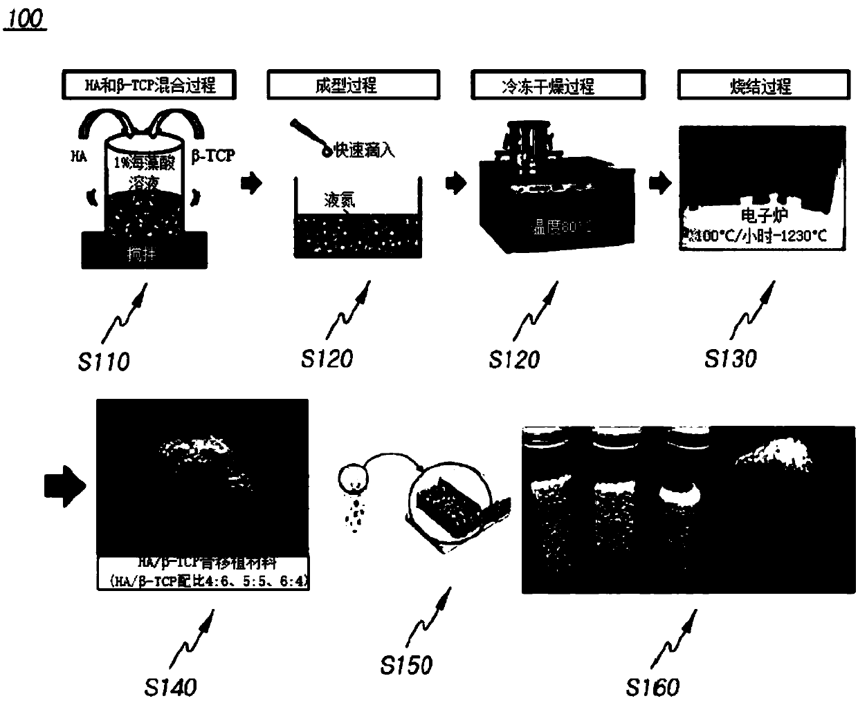 Dental bone graft materials of biphasic calcium phosphate type composed of hydroxyapatite and beta-tricalcium phosphate synthesized from the shell of abalone and preparation method thereof