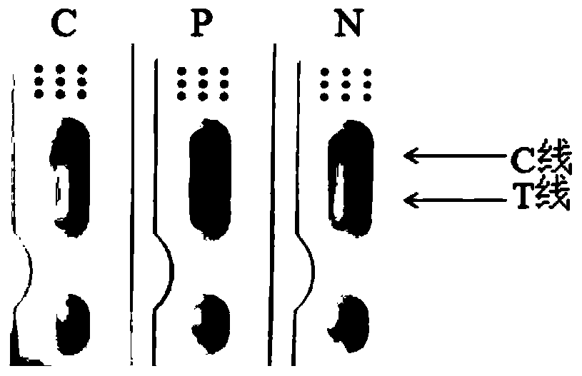 Method and detection test strip for on-site rapid detection of bovine-derived and duck-derived components