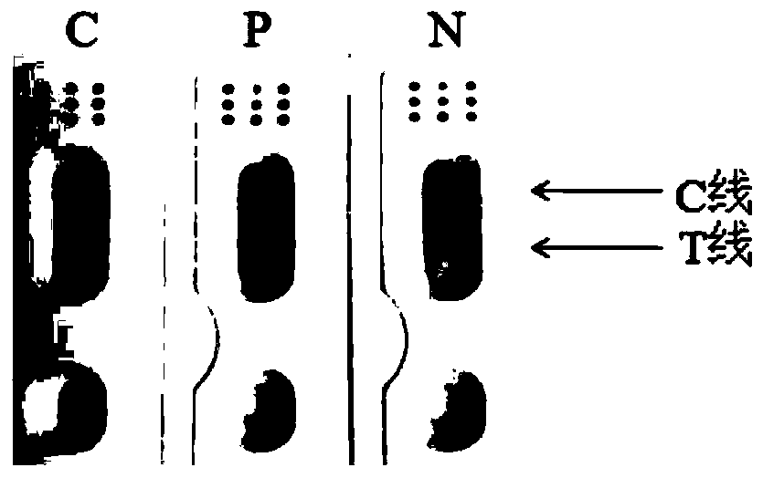 Method and detection test strip for on-site rapid detection of bovine-derived and duck-derived components