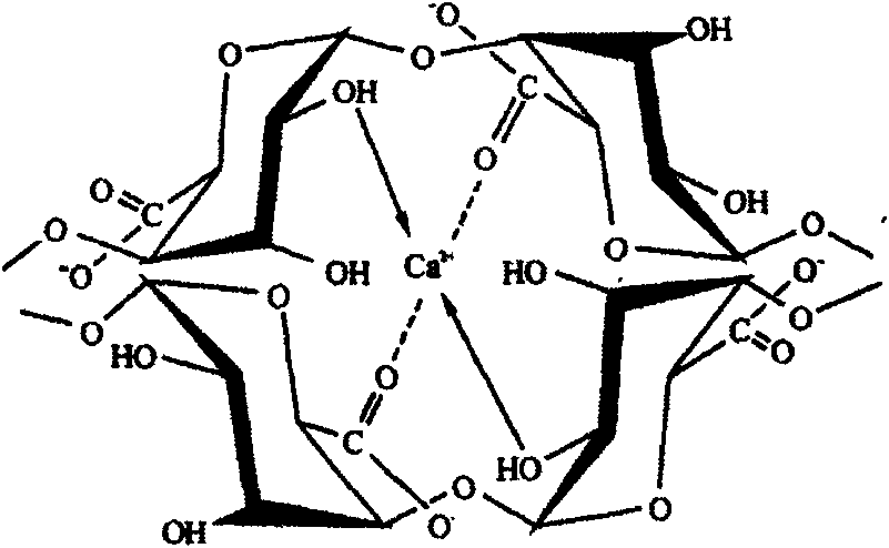 Porous ceramics and preparation method thereof