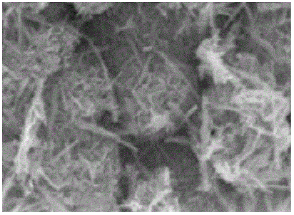 High-hardness WC-TiO2-Mo nanocoating material and preparation method thereof