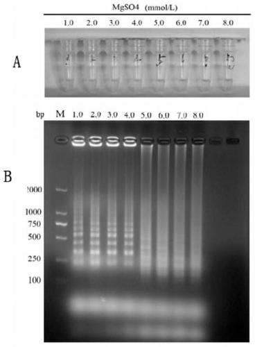 A rt-lamp visualization kit for detecting goose Newcastle disease virus and its application