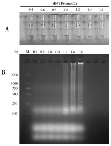 A rt-lamp visualization kit for detecting goose Newcastle disease virus and its application