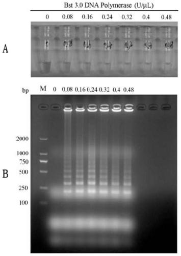 A rt-lamp visualization kit for detecting goose Newcastle disease virus and its application