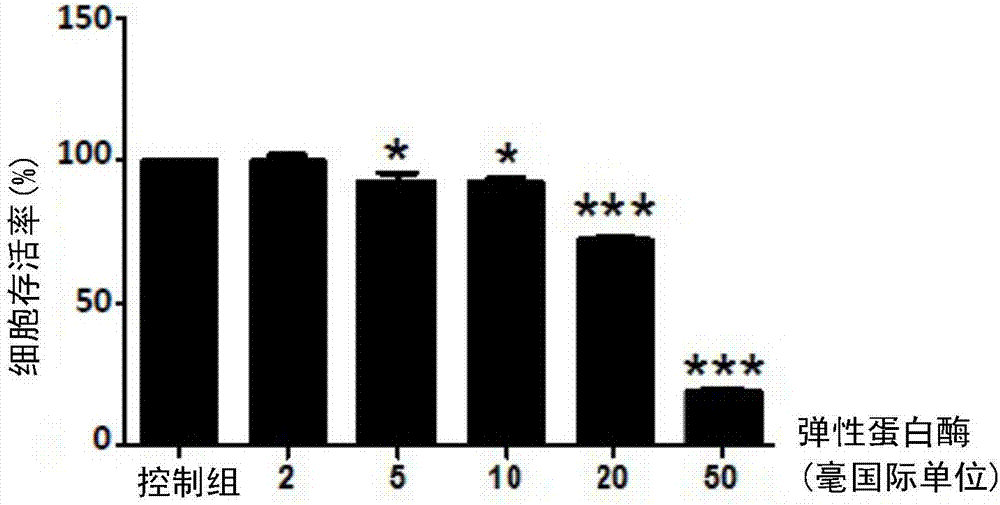 Application of burdock extract in preparing medicine for protecting elastic fibers and collagen