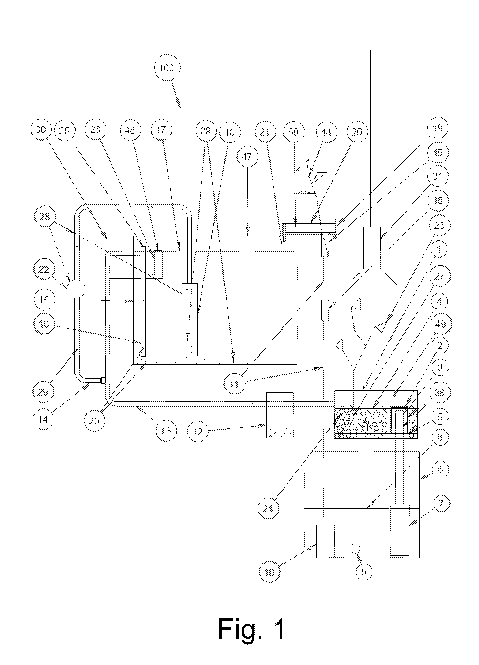 Aquaponic System