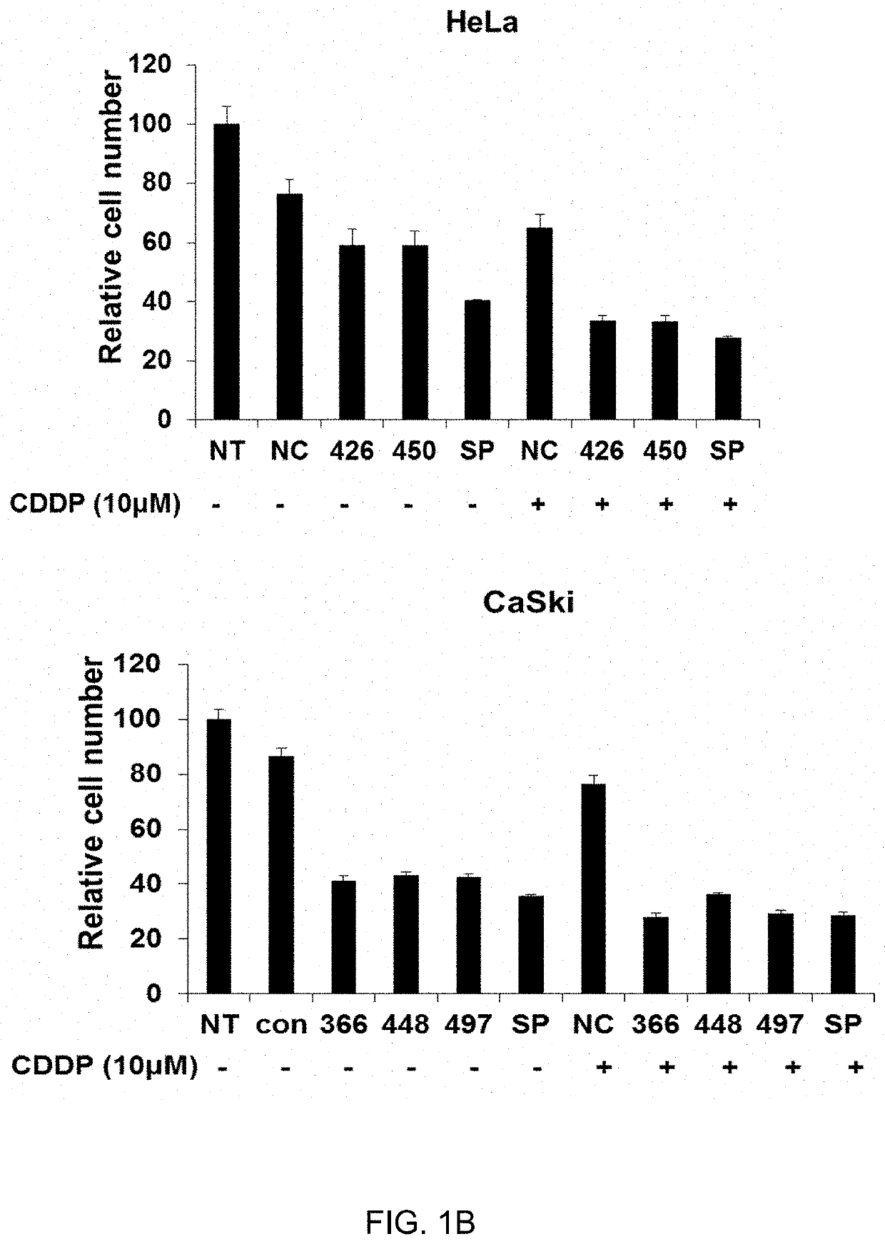 METHOD FOR MAINTAINING INCREASED INTRACELLULAR p53 LEVEL, INDUCED BY PLATINUM-BASED ANTICANCER DRUG, AND APPLICATION THEREOF