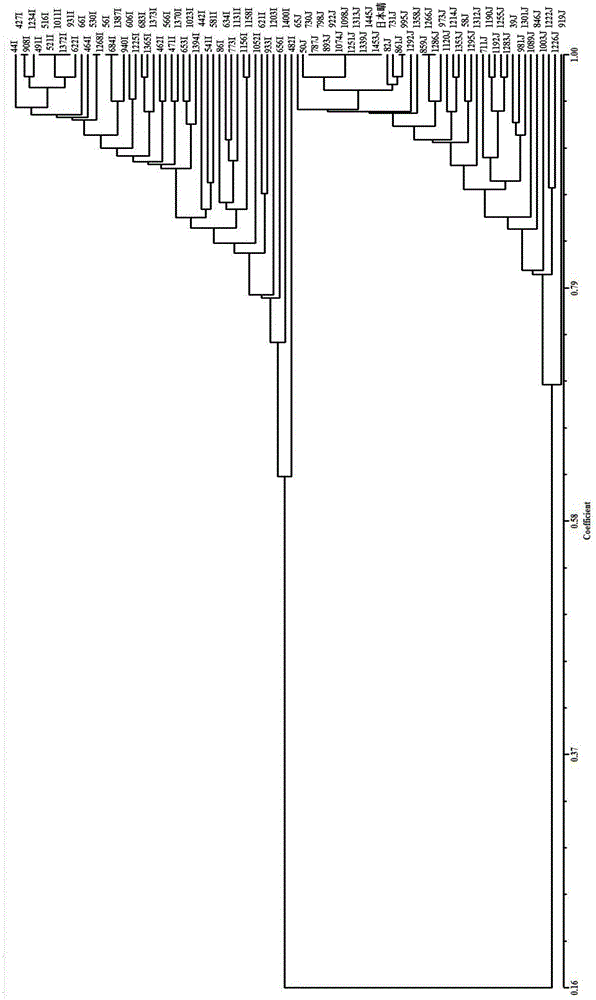 Optimized rice indica and japonica performance detection system and optimized rice indica and japonica performance detection method