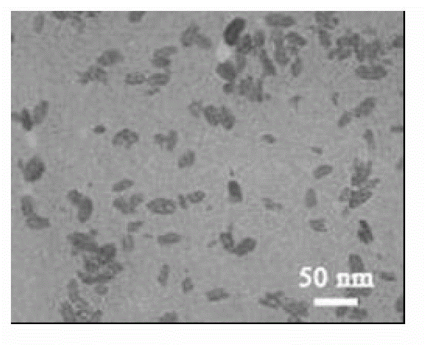 Preparation method of nano-hydroxyapatite/chitosan