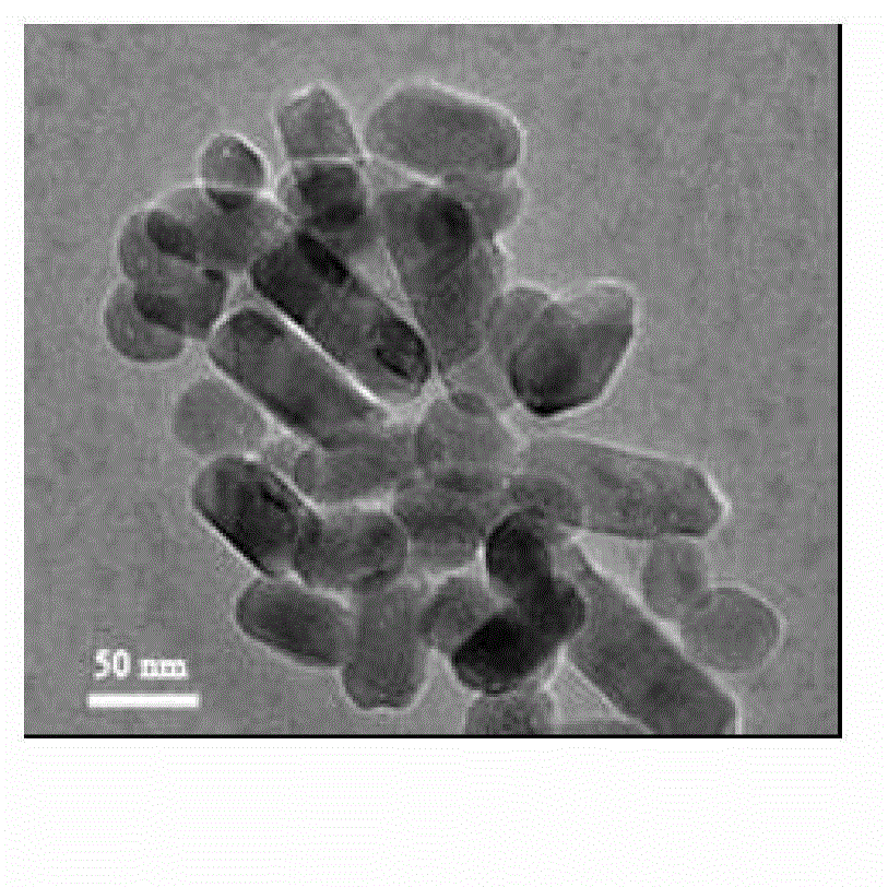 Preparation method of nano-hydroxyapatite/chitosan