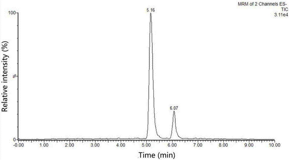 Traditional Chinese medicinal composition and preparation method and application thereof