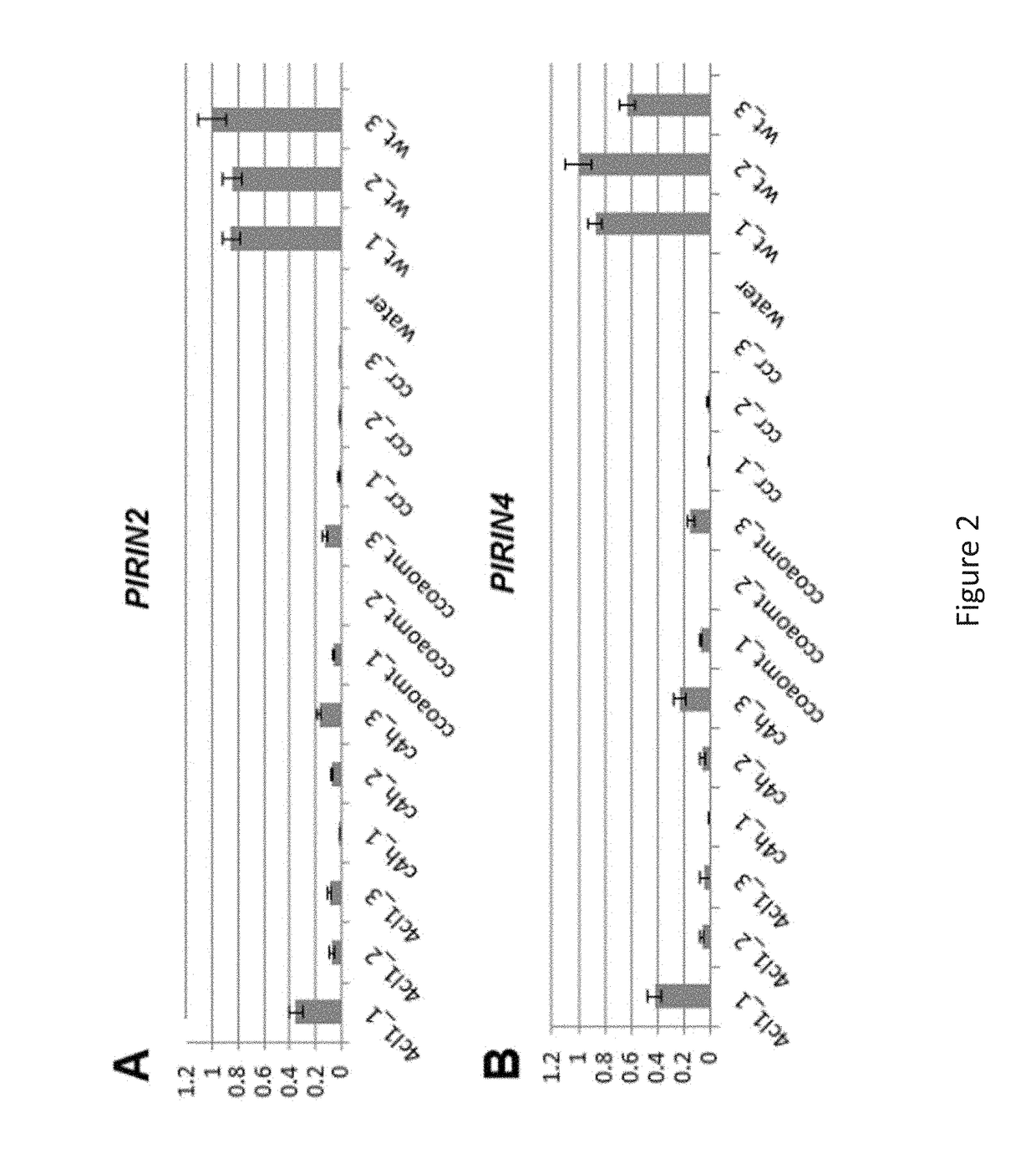 Genetically modified plants having altered lignin content