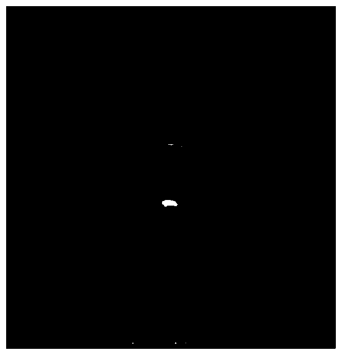 Complex, tissue repair material, preparation method of the tissue repair material and applications